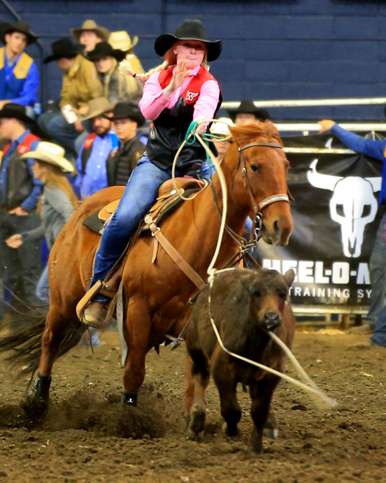 Saturday Short Darby Yeager.jpg